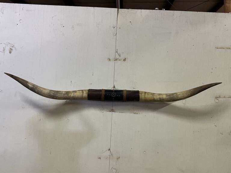 Longhorn Wall Mount image