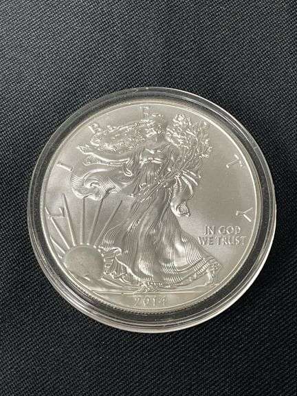 Silver Eagle image