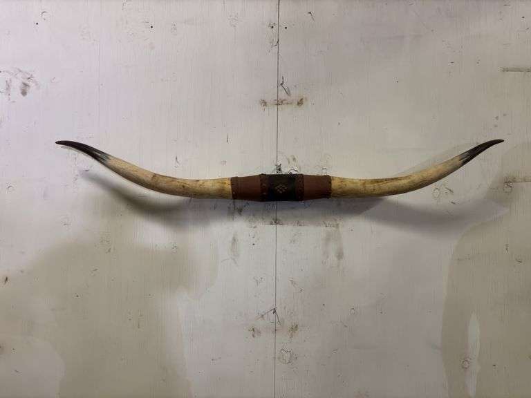 Longhorn Wall Mount image