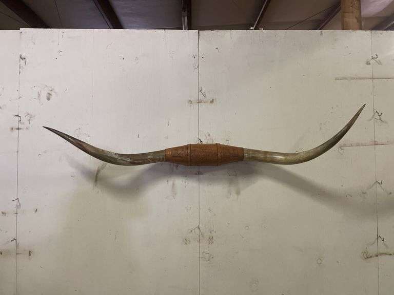 Longhorn Wall Mount image