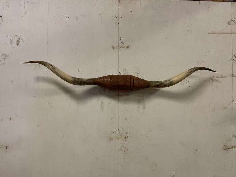 Longhorn Wall Mount image