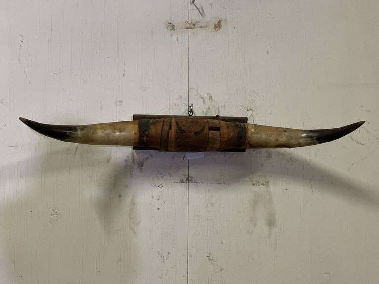 Longhorn Wall Mount image