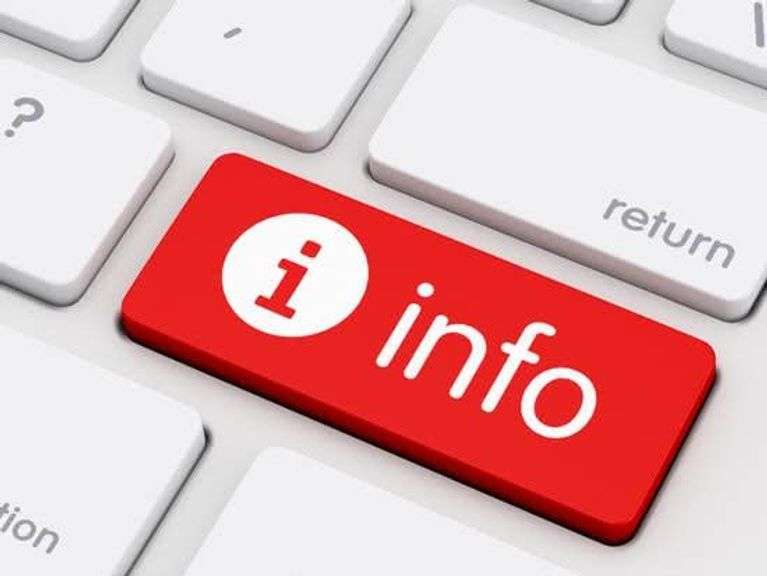 Important Auction Information