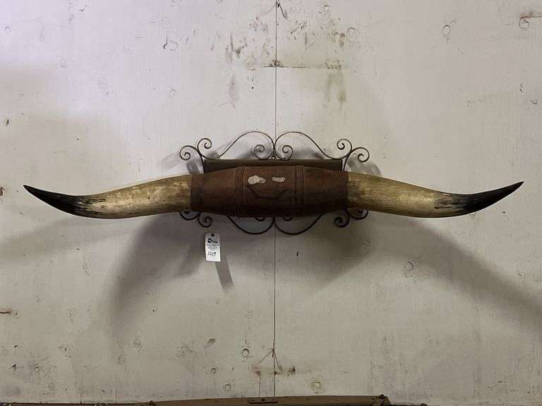Longhorn Wall Mount image