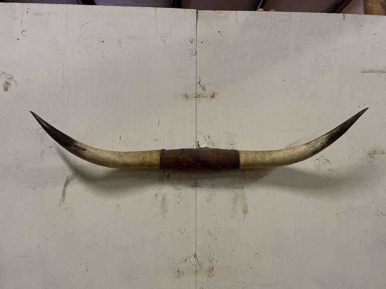 Longhorn Wall Mount image