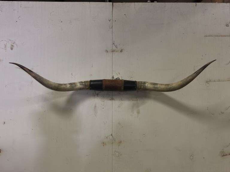 Longhorn Wall Mount image