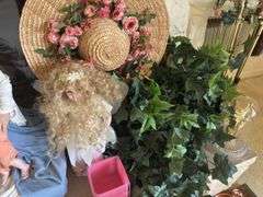 Lot of decorative Dolls and flowers