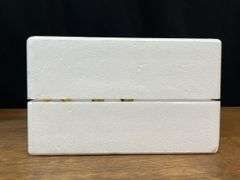 1/16 McCormick-Deering Little Genius Plow Precision NIB Ertl