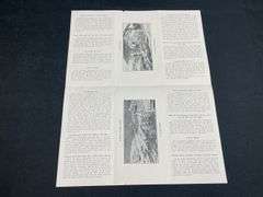 (2) American Saw Mill Machinery Co. Sales Literature