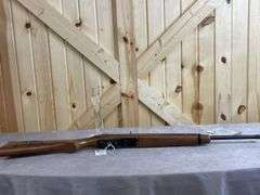 1 of 1! Sangamon County (Illinois) Ruger 10/22 .22 LR Semiauto Rifle