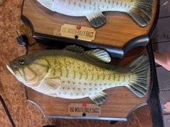 Fish Decor Items