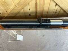 Chinese Air Rifle
