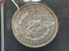 (2) Morgan Dollars
