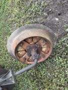 Case 10 Disc Plow