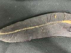 Gurkha Kukri Knife w/Scabbard