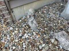 Garden Statues