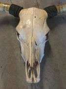 Skull and Horns