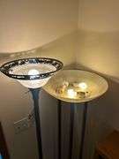 (2) Floor Lamps