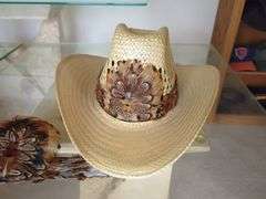 Cowboy Hat with Feathers Lot