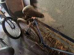 Schwinn Bike