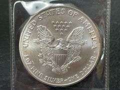 (2) 2003 & 2005 $1 American Silver Eagle