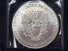 (2) 1992 & 1994 $1 American Silver Eagle