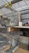 (9) Security Cages 7.5 ft tall x 4 ft wide x 4 ft deep sections