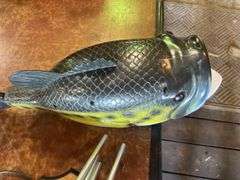 Fish Decor Items