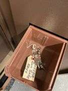 Steel Gun Safe with Shelves, Side Compartments; Hold 6 Guns
