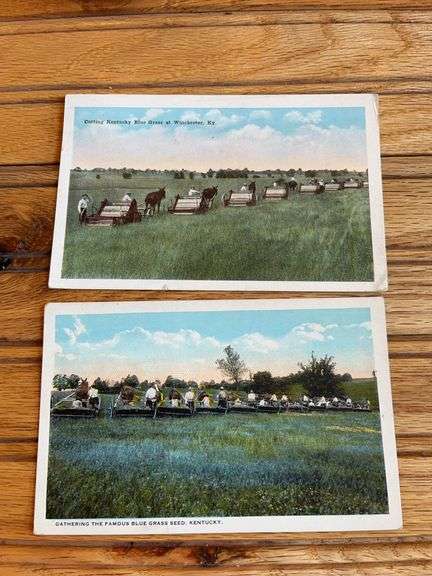 (2) Kentucky Blue Grass Postcards image