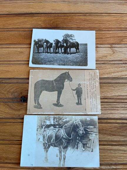 (3) Horse Postcards image