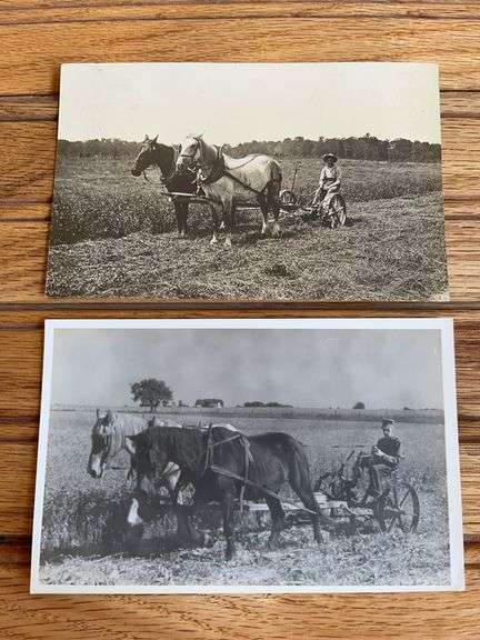 (2) Horse Drawn Mower Photo Postcards image