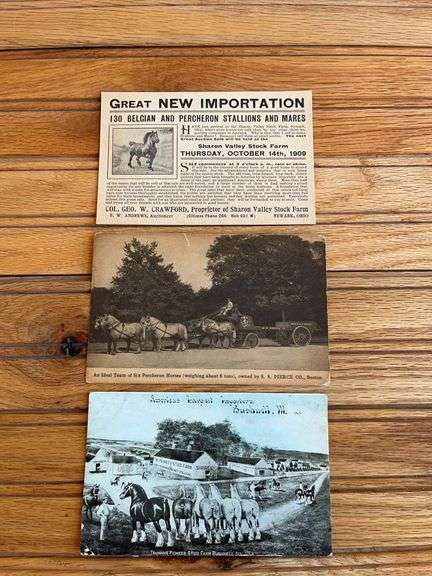 (3) Horse Postcards image