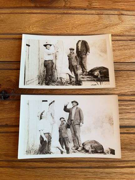 (2) Hog Butchering Photos image