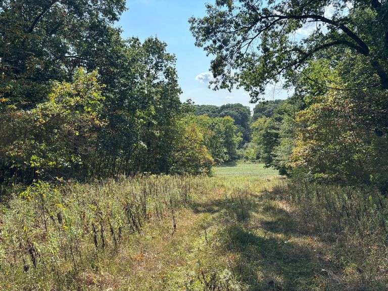 370+/- Acre Litchfield Land Auction- Kenneth Crain Estate image