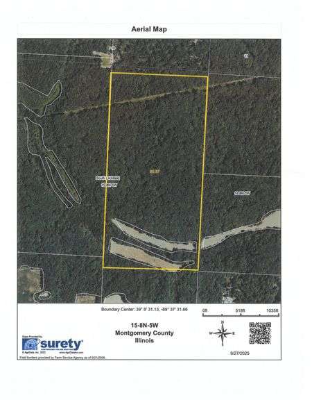 81.002 +/- Acres in South Litchfield Township image