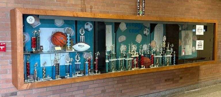 Glass Trophy Wall-Mounted Display Case image