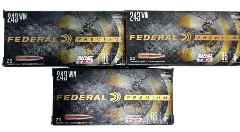 Federal Premium .243 85 Gr Ammo image