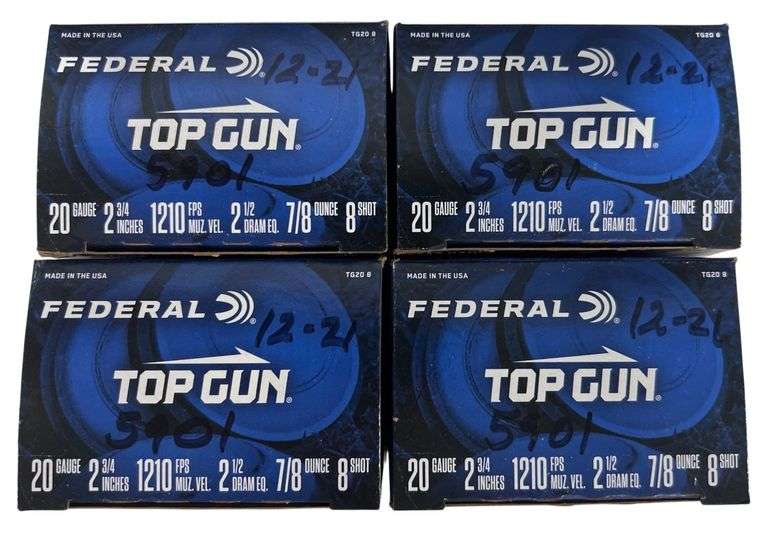 Federal 20 Guage 8 Shot Shotgun Shells image