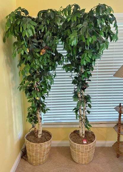 Artificial Trees image
