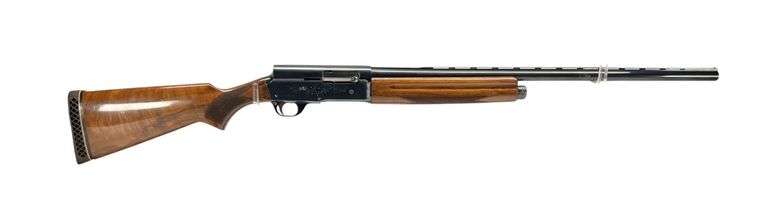 Charles Daly Auto- Pointer 12 Ga Shotgun image