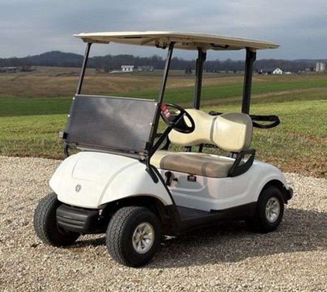 2013 Yamaha Golf Cart image