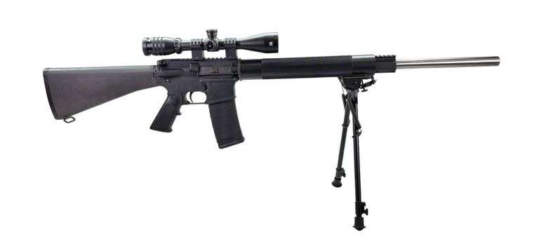 Panther Arms DPMS A-15 .223 Rifle image