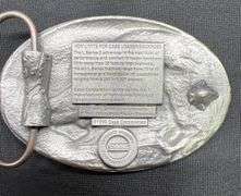 Case, AC, Deutz-Allis Belt Buckles