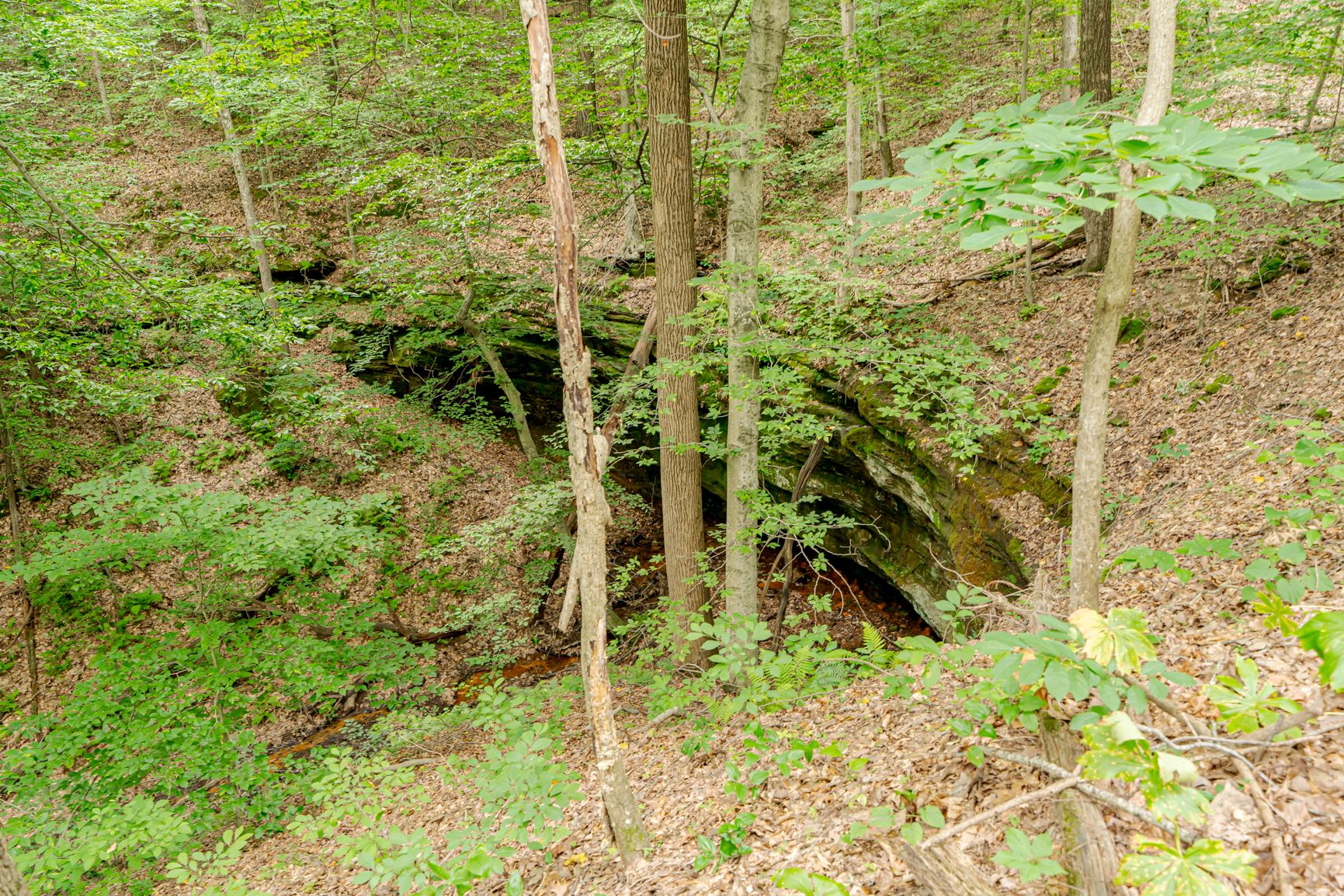 Lot image 45