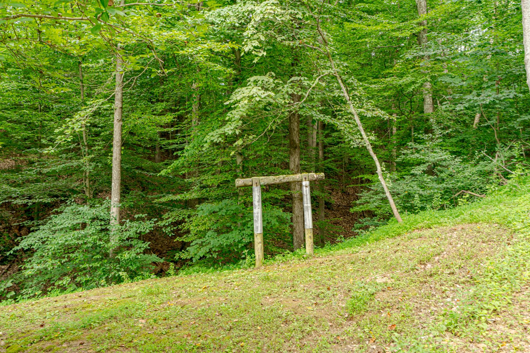 Lot image 43