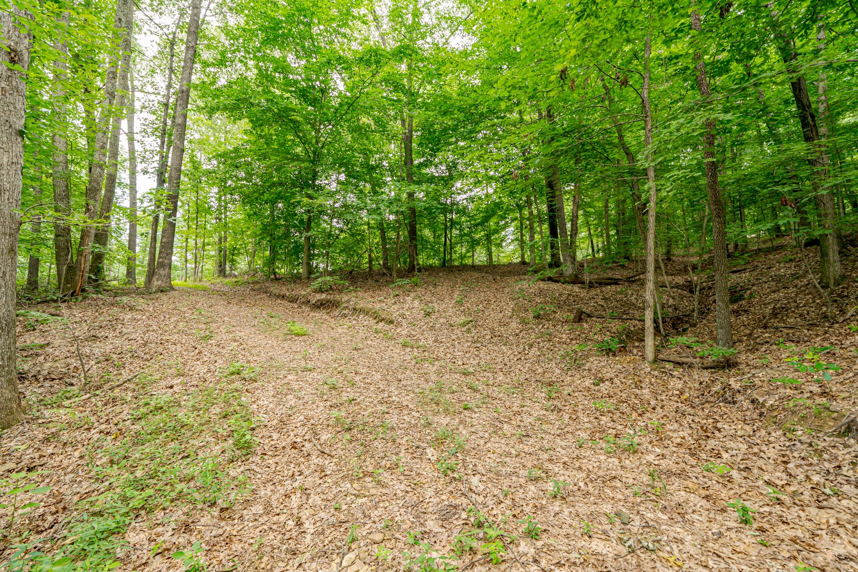 Lot image 47