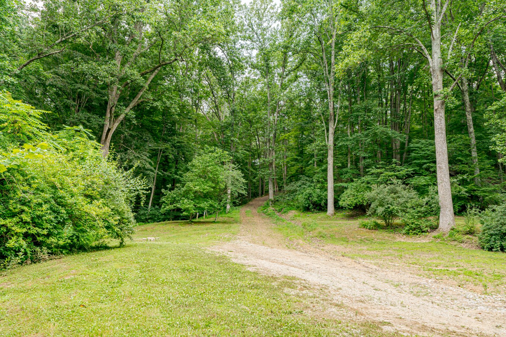 Lot image 4