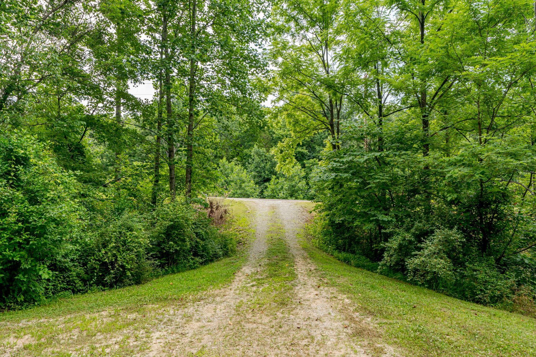 Lot image 39