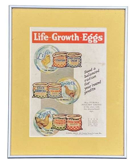 Mail Pouch Tobacco & Purina Chicken Feed Framed Advertisements